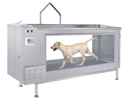 PJ-1901 CE godkänd djurvatten under vatten löpband för hundar