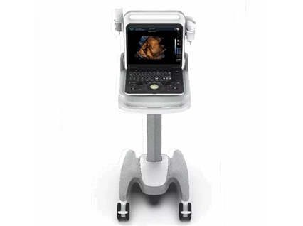 Veterinäry Liten B-Ultrasound maskin