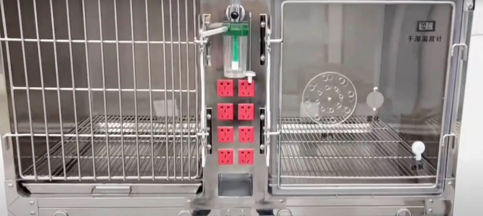 Vet Oxygen Cage Display Video Visa