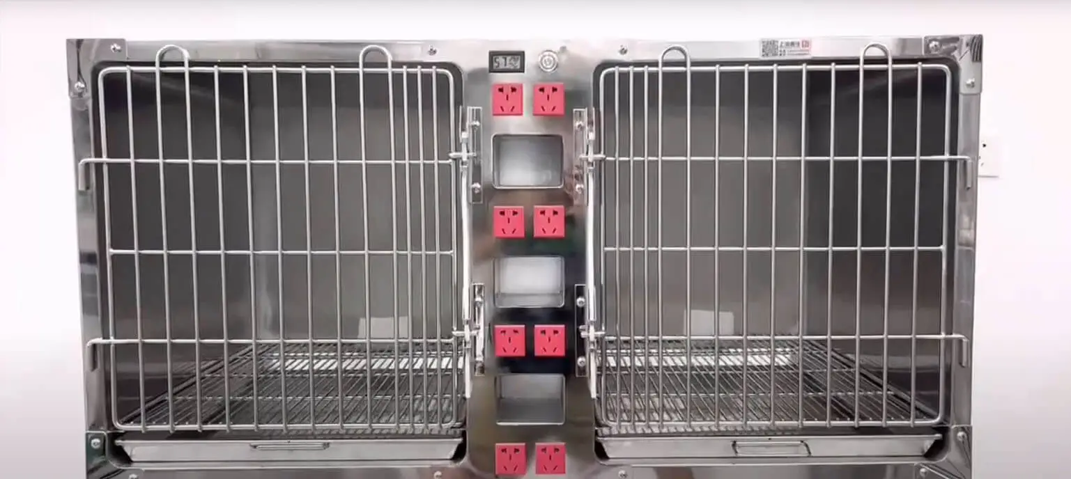 Vet Oxygen Cage Display Video Visa